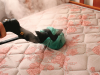 CONTROLLING BED BUGS CONTROLLING BED BUGS