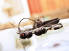 Best Wired Earphones Best Wired Earphones