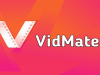 Top Features of Vidmate Top Features of Vidmate
