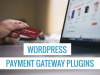 Top 15 Payment Gateway Plugins You Can Use with WordPress in 2021 Top 15 Payment Gateway Plugins You Can Use with WordPress in 2021