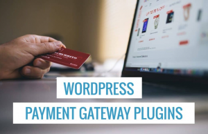 Top 15 Payment Gateway Plugins You Can Use with WordPress in 2021 Top 15 Payment Gateway Plugins You Can Use with WordPress in 2021