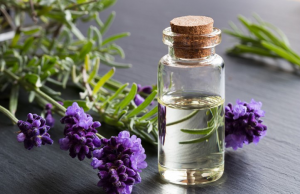 The trend of using quality Fragrant Oils infused with Essential oils The Trend of using quality Fragrant Oils infused with Essential oils