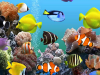 Reviews 8 Best Aquarium Power Filter Reviews 8 Best Aquarium Power Filter
