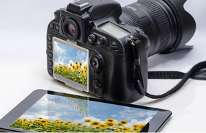 8 Best Wi-Fi Camera in 2022 8 Best Wi-Fi Cameras in 2022