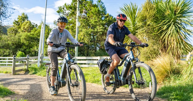 Why are e-bike becoming increasingly popular?