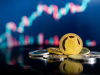 Shiba Inu Coin (SHIB) for Beginners Guide in 2021 Shiba Inu Coin (SHIB) for Beginners Guide in 2021