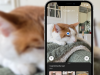 How to Use Google Lens for iPhone: Full Guide! How to Use Google Lens for iPhone: Full Guide!