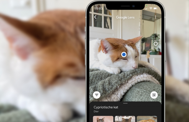 How to Use Google Lens for iPhone: Full Guide!