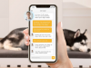 8 Best Pet Camera with Good Video Quality in 2022 8 Best Pet Camera with Good Video Quality in 2022