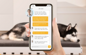 8 Best Pet Camera with Good Video Quality in 2022 8 Best Pet Camera with Good Video Quality in 2022