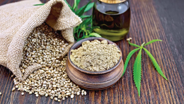 11 Best Cannabis Seed Banks to Buy Cannabis Seeds Online