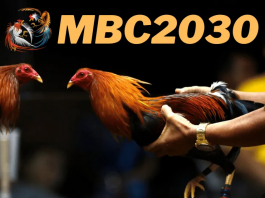 Mbc2030: About Mbc2030 live game Guide