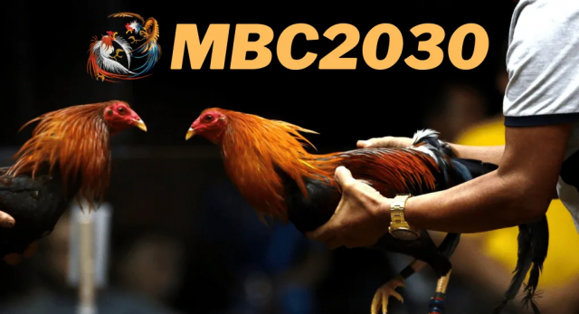 Mbc2030: About Mbc2030 live game Guide