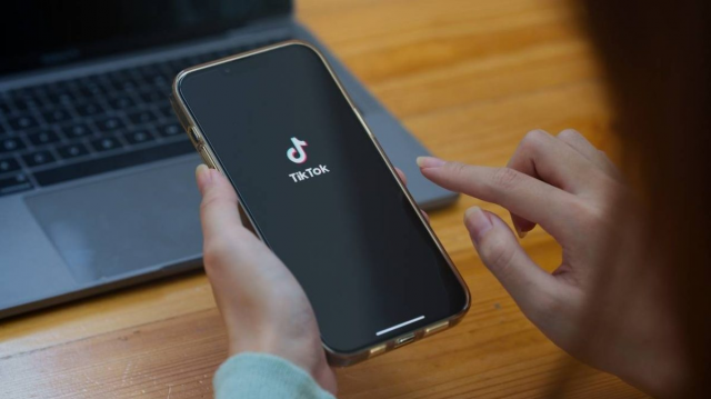 What is Urlebird? TikTok video App for influencers