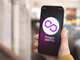 Polygon Wallet vs. Competitors: A full Guide