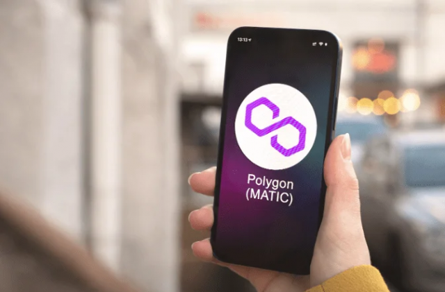 Polygon Wallet vs. Competitors: A full Guide